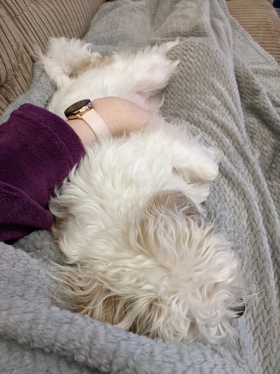 Tiothae's tweet photo. Lazy Saturday, good Saturday https://t.co/bvV6CJUarv