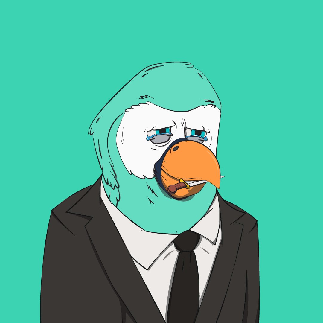 Bored Macaw Sol Club tweet media
