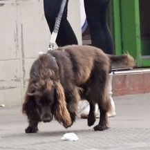 bobbyhiddles's tweet image. 