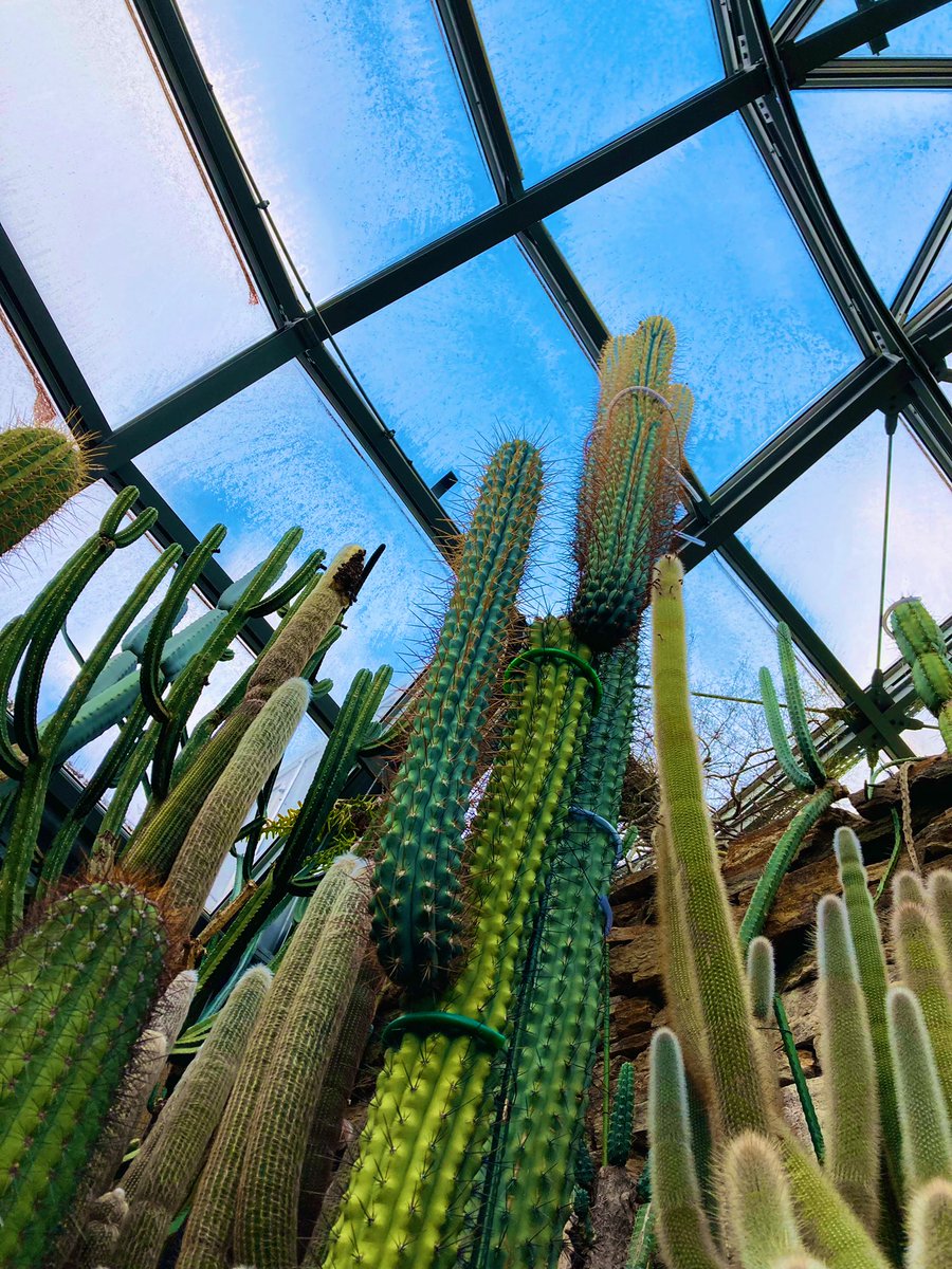 MariellaPittar1's tweet photo. Let’s go to outer space #Botanischer Garten #Berlin #Germany https://t.co/IC1pa9lHyQ