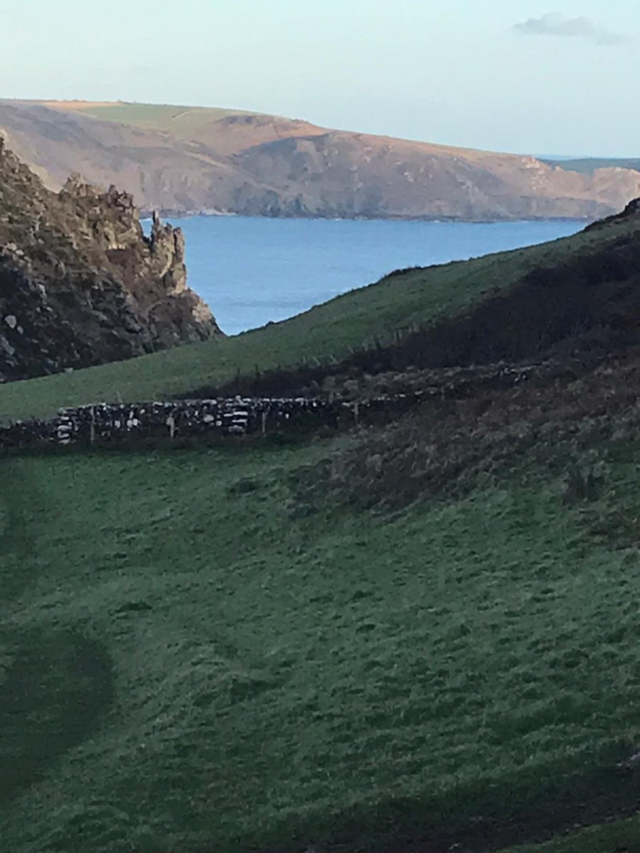Keep calm, carry on walking &amp; then come into Sailor V for Sunday lunch!We take reservations 🙂#Salcombe