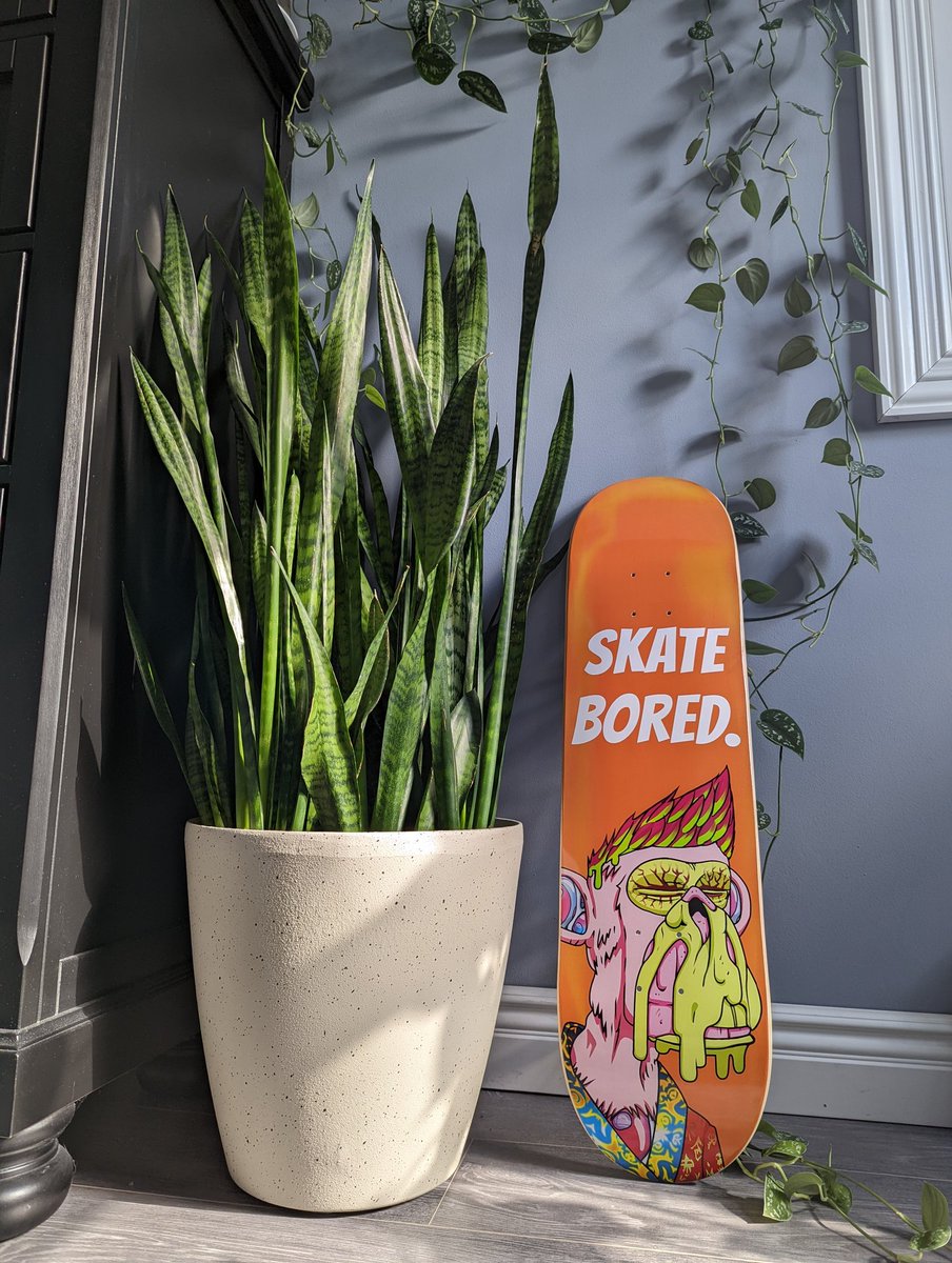 Love my board by <a href="/woundedpixel/">Pixel</a> 
<a href="/BoredApeYC/">Bored Ape Yacht Club 🍌</a> #BAYC #MAYC
