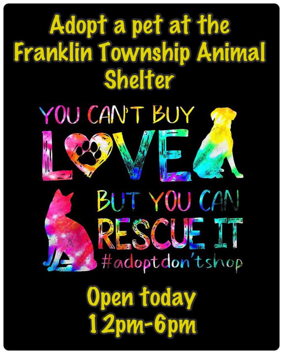 SCFA16's tweet image. Looking for unconditional love?💖Look no further than the Franklin Animal Shelter! Dogs, cats, kittens, rabbits, and guinea pigs are hoping for their chance at true love…come and see if your perfect match is waiting for you!  #adoptdontshop #Truelove #familyfun #SaturdayVibes