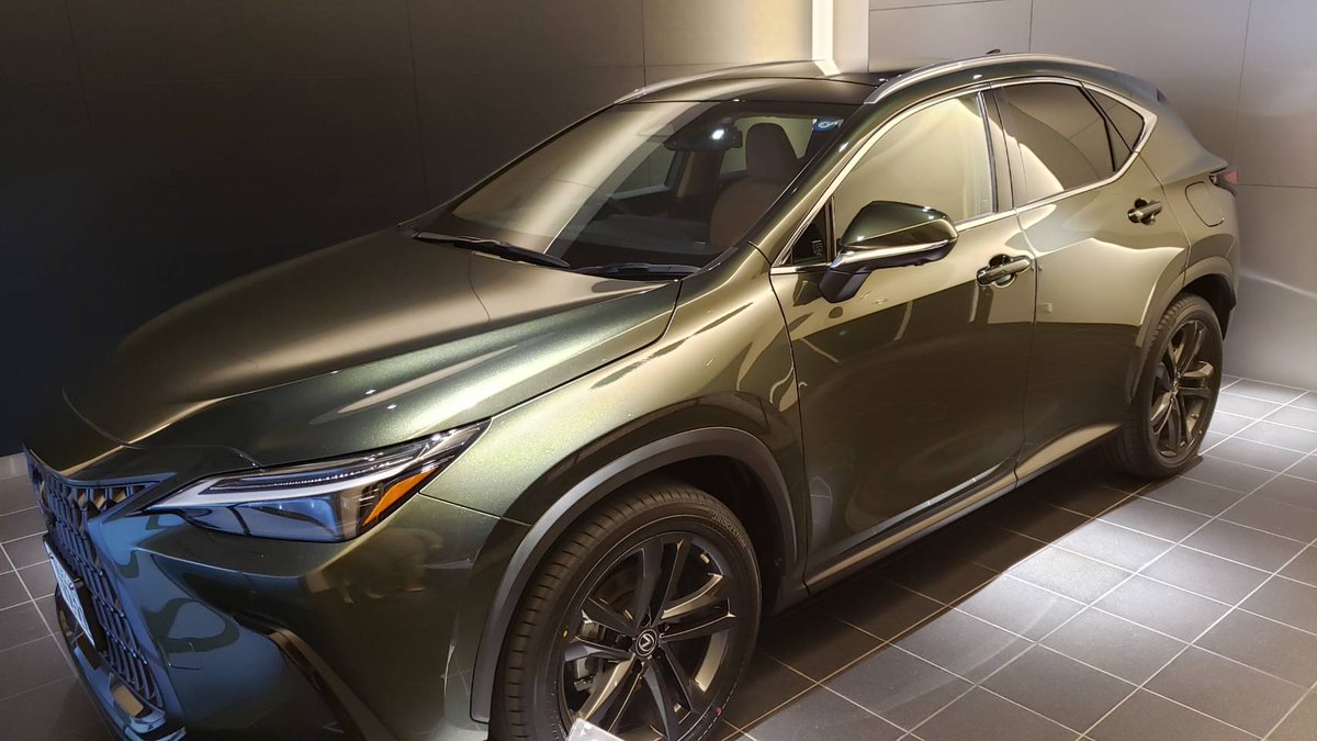 dssy (ディジィー)🟩 tweet media