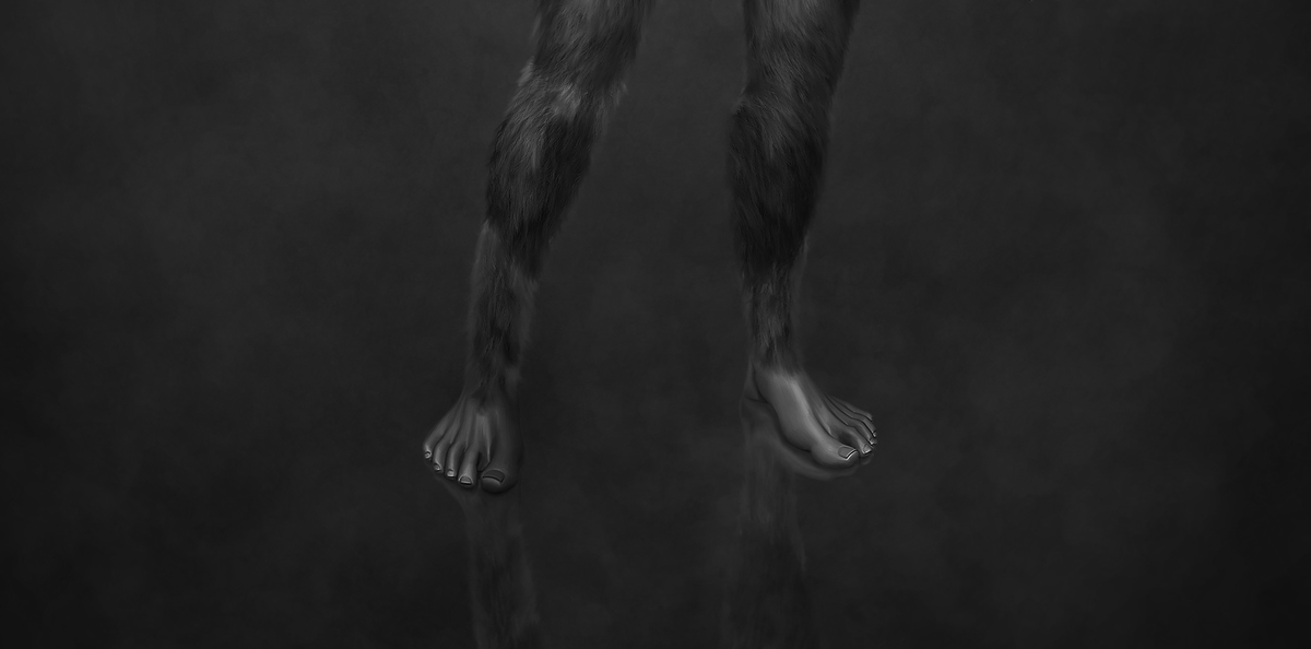 Alpha_Gorillas's tweet photo. Our explorer team spotted a first female specimen of an Alpha in the depths of the Jungle.👀🦍

Unfortunately, we have not been able to take a proper picture of her...📷

But you can check out the explorer note of our scouting team on discord!!!

#Solana #SolanaNFT #NFT #AlphaNFT https://t.co/OTXxlC0GXY