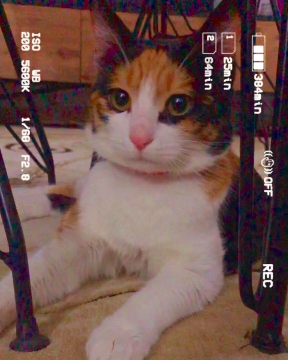 iremceren07's tweet photo. @nolurbisev 💓💓💓🍓🍓🍓🍓🧿🧿🧿💓💓💓💓💓💓💓 https://t.co/4IdQdhncsW