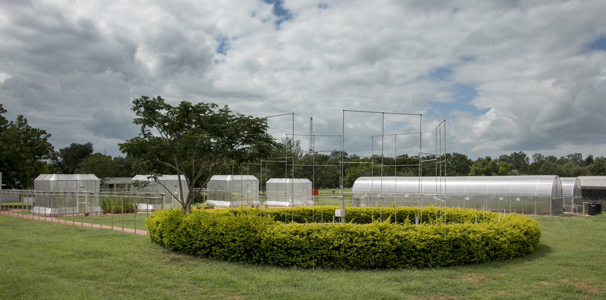 Mamta Sharma tweet media