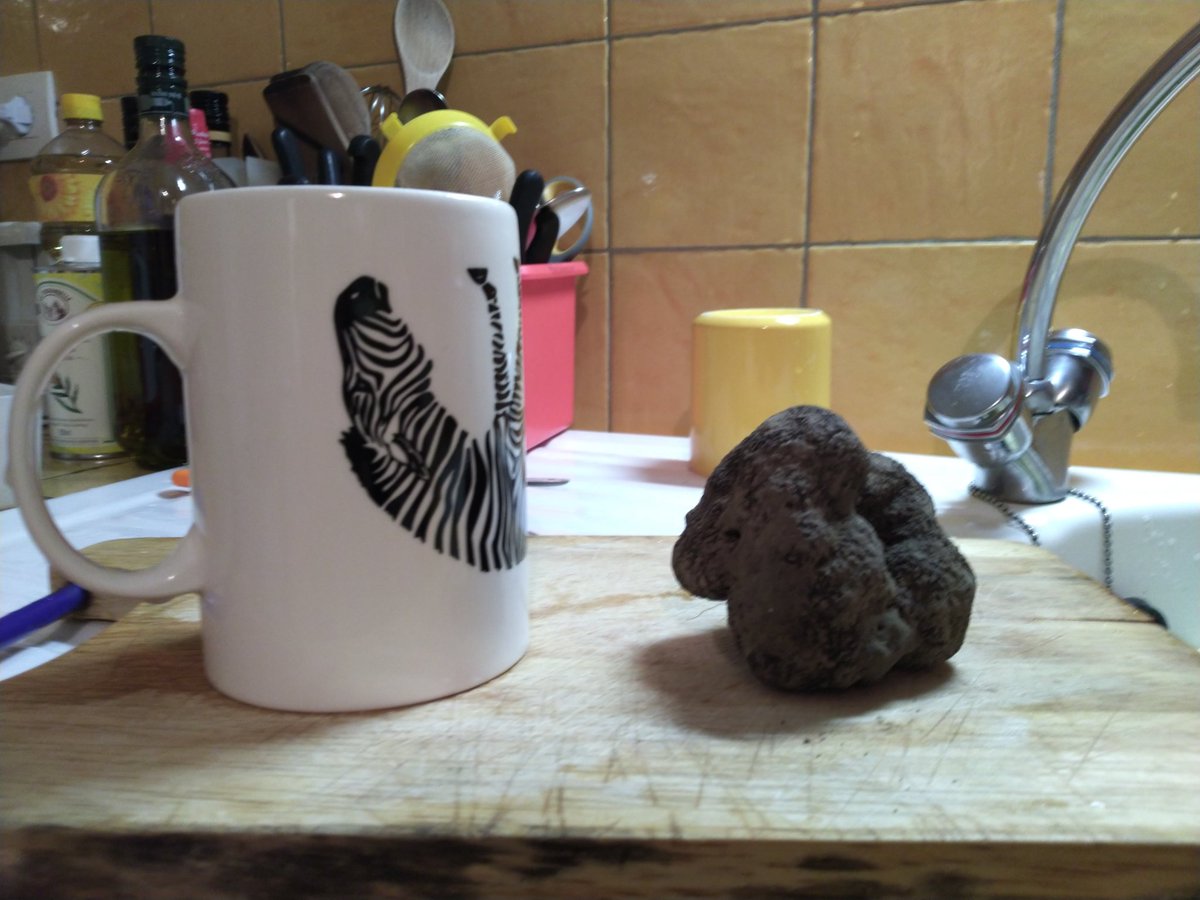 ChristophePaye9's tweet photo. Et ça Tasse et #Rabasse 😋😌😎 https://t.co/bo9xf0aMUA