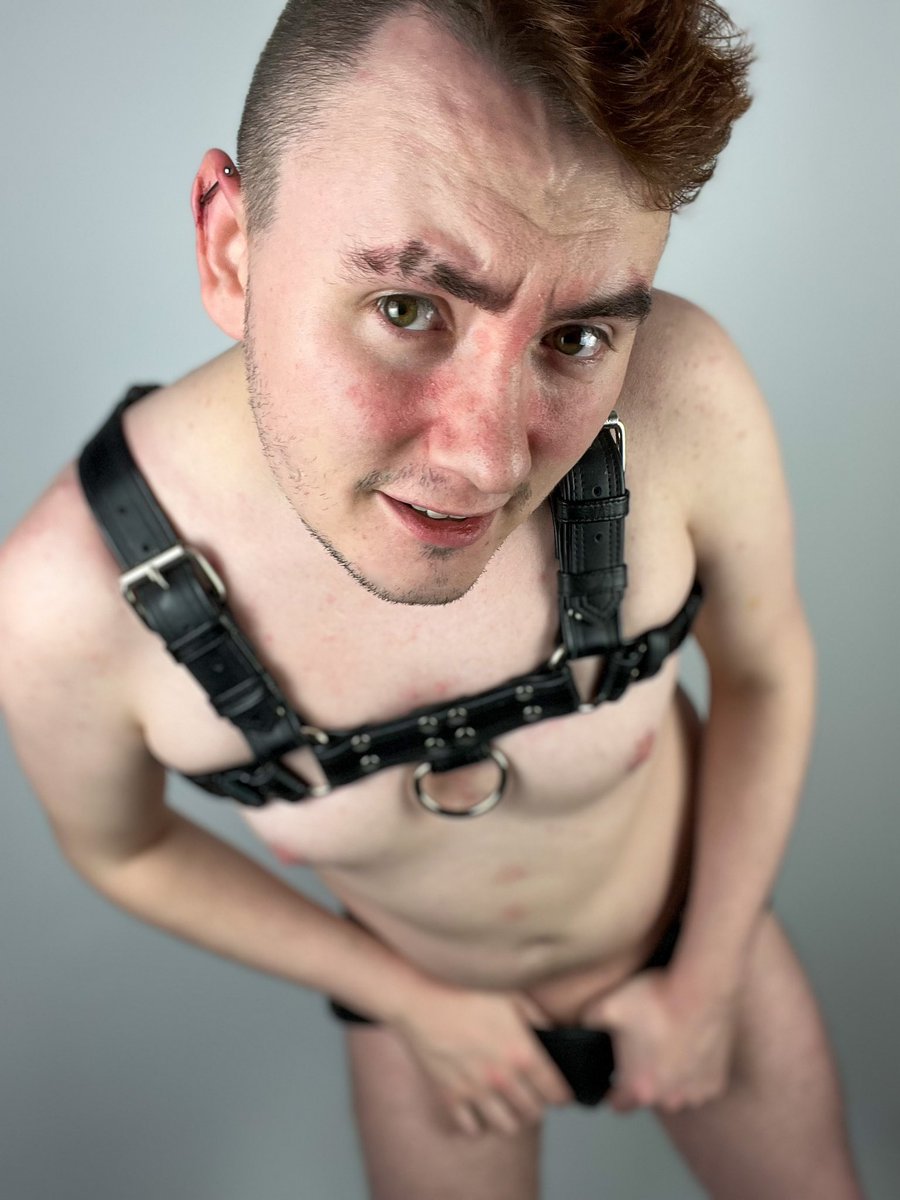 SpacePupSilver's tweet photo. Feelin’ pretty. https://t.co/vOPY28xvCz