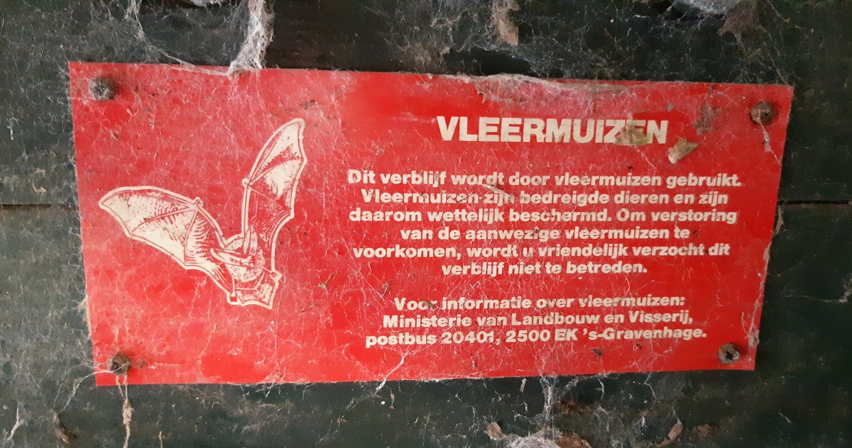 GerrieAbel's tweet photo. Dagje Utrechtse forten bezoeken, op zoek naar overwinterende vleermuizen. @Zoogdierverenig @ZOogdierUTrecht, @Waterlinie_NHW #wintertelling #Utrecht https://t.co/YeSFkSMriB