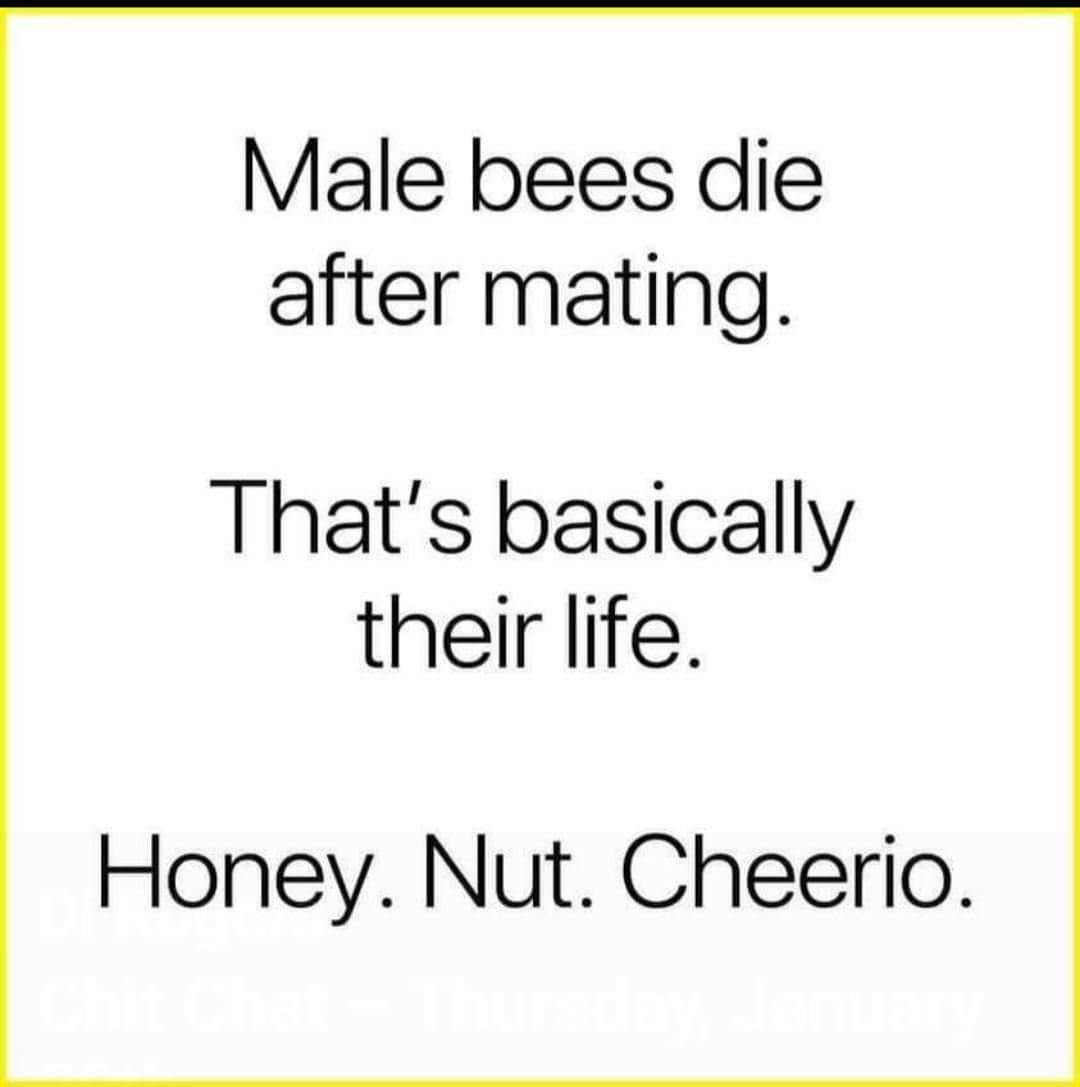 bcooley1983's tweet photo. Hahahahaha #funnymemes https://t.co/5slDIUuoUV