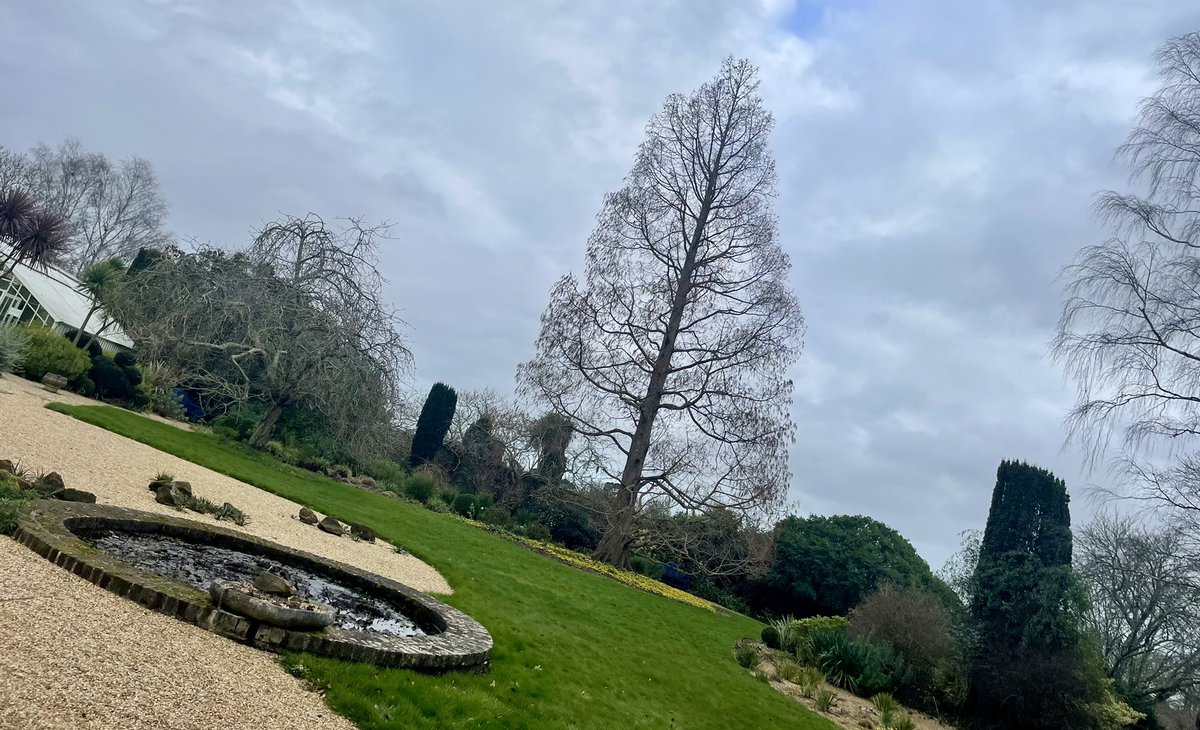 catchpole75's tweet photo. @denmans_garden ticked off the list of @The_RHS partnership gardens to visit with @DogImaginary #botanicalbusiness https://t.co/e78avhDJS2