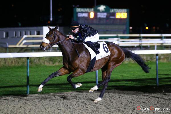 🚨[Coup de 3️⃣]🚨🥳🥳🥳
🥇AVEC LAURA (M. Bollack)
🥇MACHETE (<a href="/ChappetRacing/">Chappet Racing</a> -R. Shaykhutdinov)
🥇GRACE BERE (S. Cerulis-P. Bloy)
💪🏻💪🏻💪🏻
Merci à notre partenaire <a href="/SandraBiloe/">Biloé Joaillerie Monte-Carlo</a> pour sa confiance 👉🏻 biloejoailleriemontecarlo.com 💎
#galop #winner 🏆