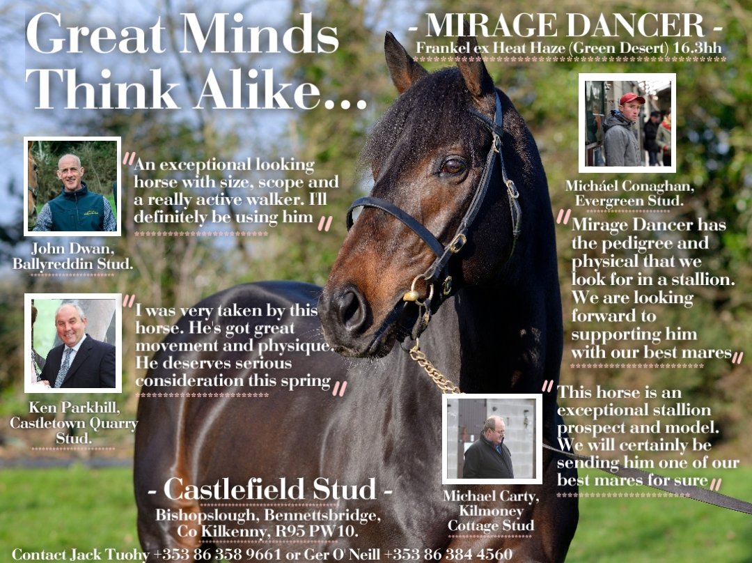 ChapelLaneJ2E's tweet photo. MIRAGE DANCER (Frankel ex Heat Haze) 

💫Gr 1 Winner, 1m4f.
💫Ex Multiple Gr 1 winning Dam, A Sister to 5 Gr1 winners including the late Champs Elysees. The Family Of Jet Away
💫16.3hh &amp; superb action.
💫Just €3.5k (FF Cons)

Attracting 🇮🇪, 🇬🇧 and 🇫🇷 Top NH breeders. 👀👀👇🏻👇🏻 https://t.co/coysP42xeU
