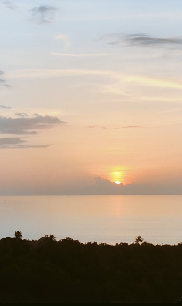 AmbienceOcean's tweet photo. #beauty #sunrise #nature https://t.co/5kCe0BmSj3
