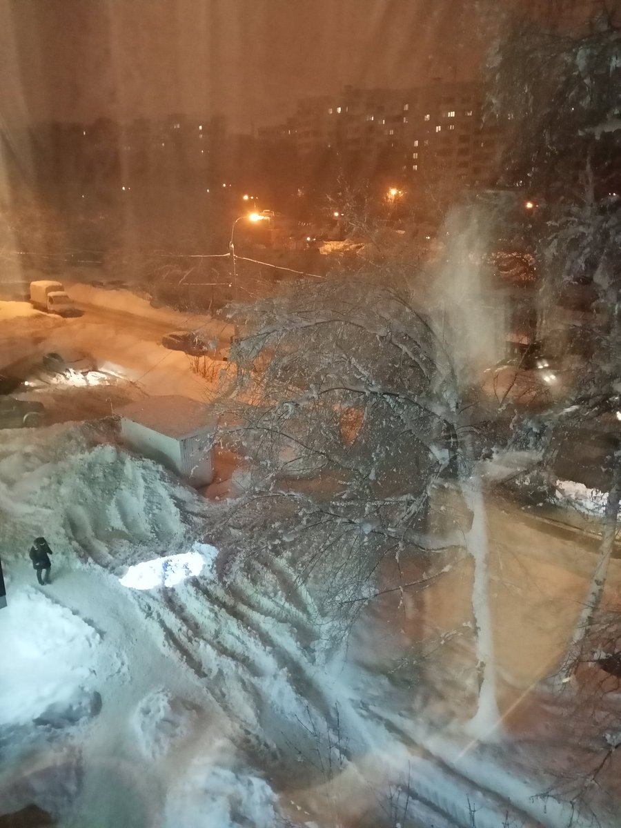 Светлана Лусис tweet media