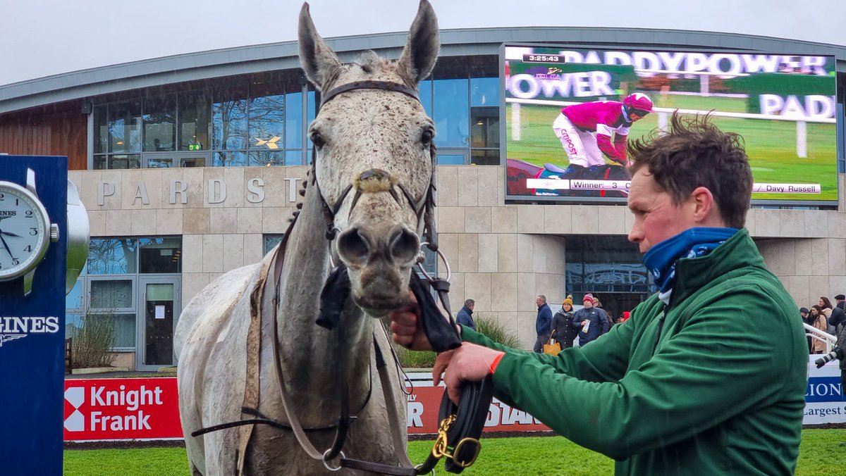 Asterion Forlonge looking a picture post race 📸 <a href="/LeopardstownRC/">Leopardstown RC</a> #DublinRacingFestival