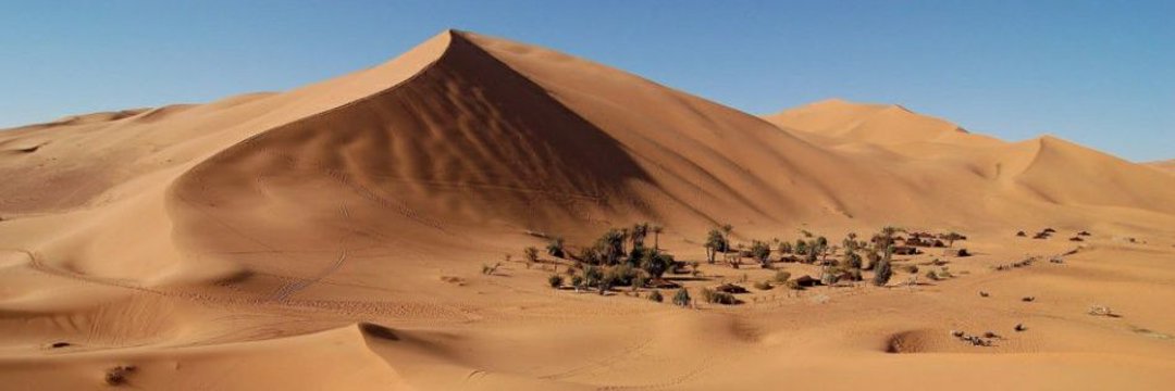 1_billiontrees's tweet photo. The #GreatGreenWall is a huge African opportunity with potential to bring 
- 10 million jobs by 2030
- Sequester 100 billion tons of carbon 
- Solve 89% irregular migration issues
- Recharge #LakeChad 
- Reduce resource violence 
- Nature solution for disaster risk reduction https://t.co/HvNwYli8Xb