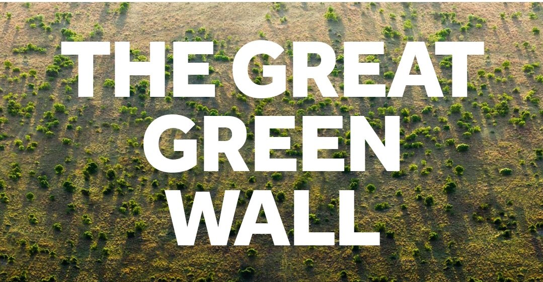 1_billiontrees's tweet photo. The #GreatGreenWall is a huge African opportunity with potential to bring 
- 10 million jobs by 2030
- Sequester 100 billion tons of carbon 
- Solve 89% irregular migration issues
- Recharge #LakeChad 
- Reduce resource violence 
- Nature solution for disaster risk reduction https://t.co/HvNwYli8Xb