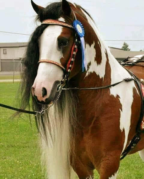 RubierRuby's tweet image. 