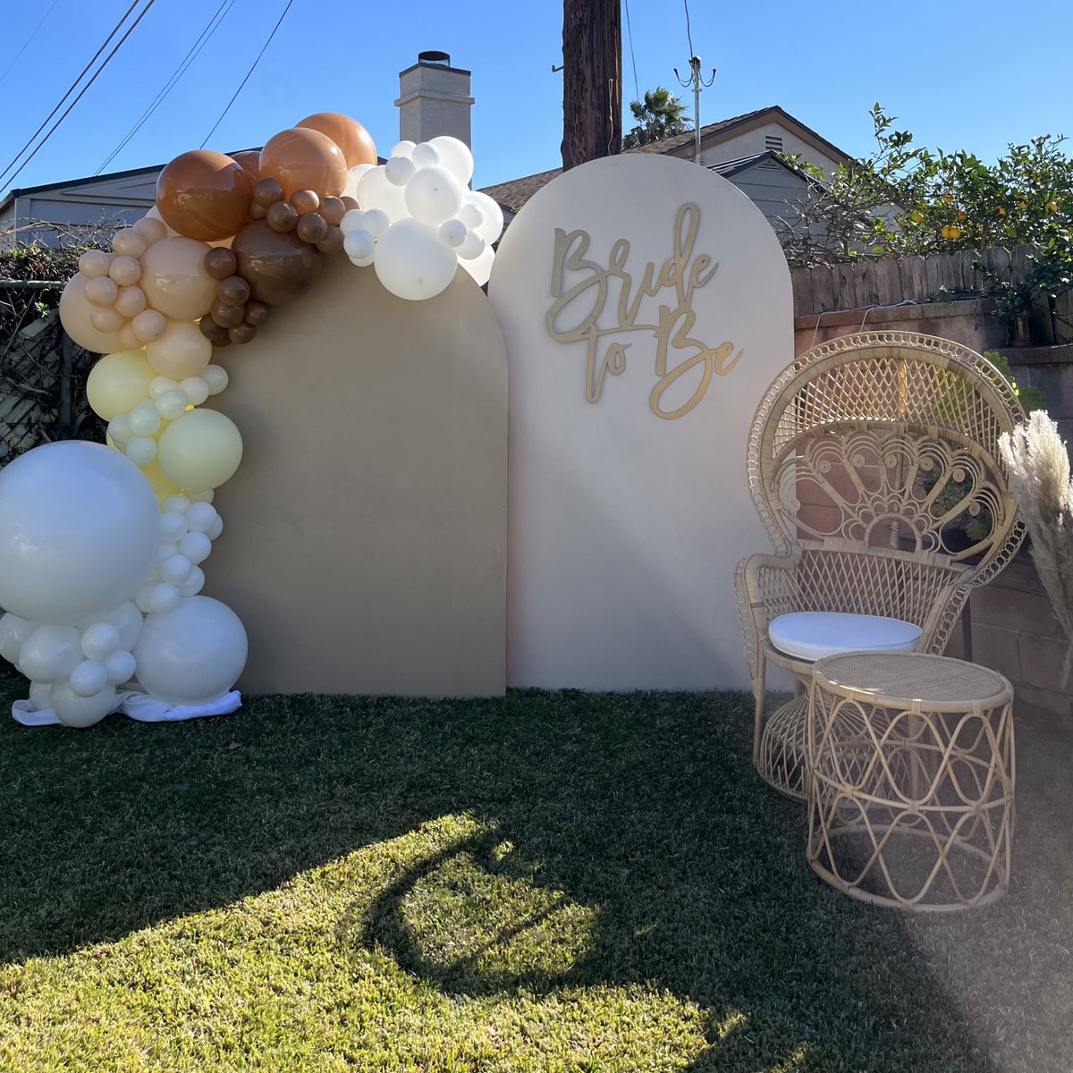 Marcopolo Lua tweet media