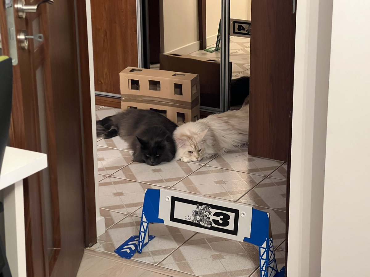 pgkrzywy's tweet image. Izolacja, dzień pierwszy. Odpaliliśmy z @KTymochowicz wreszcie #MarioKartLiveHomeCircuit. Chłopcom chyba się podoba 🤭