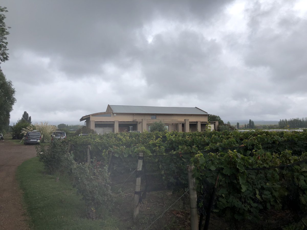 ViveLosAndes's tweet photo. Vinos y nubes 🌧, hoy sábado en #Mendoza 😎 #LasCompuertas #LujandeCuyo #vinos #malbec #bodegueando #viajar https://t.co/wwtFusu5iB