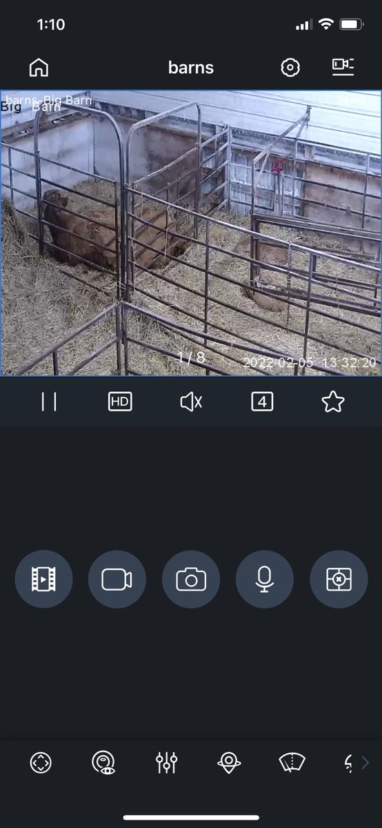 paulmrobertson1's tweet photo. Watching the steer sale from the Fort Worth stock show and calving cows #cubbys #calve22 https://t.co/uZBFB72hJp