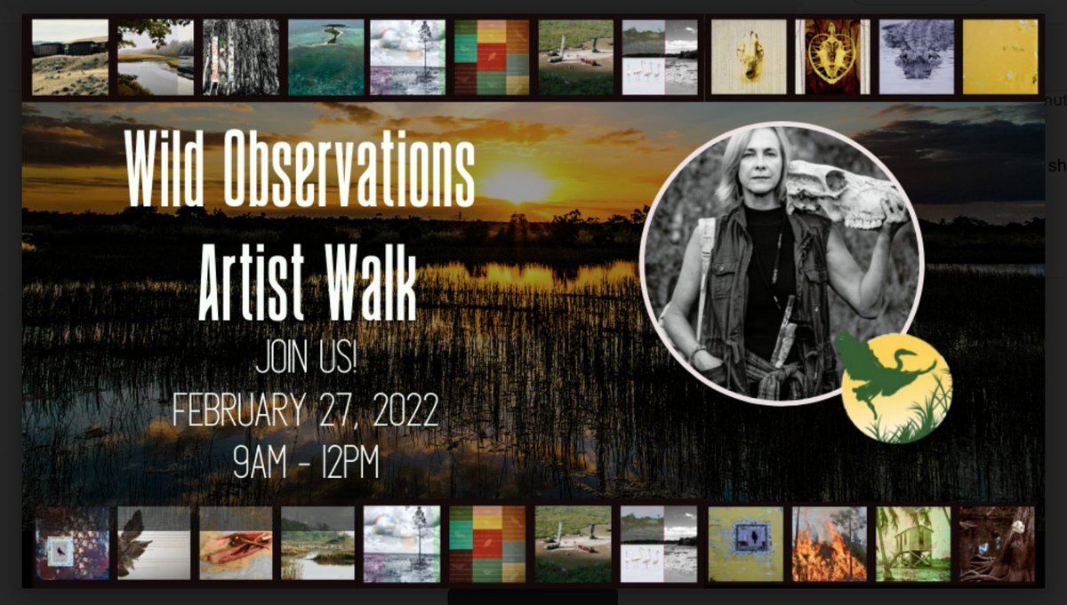 Deborah mitchell tweet media