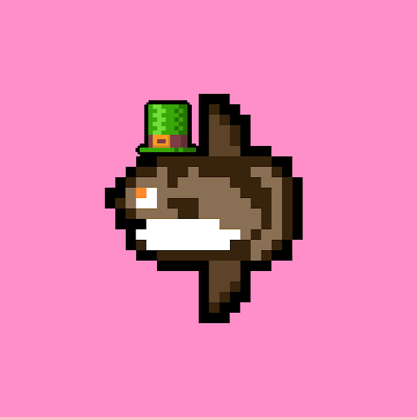 Weird Mola tweet media