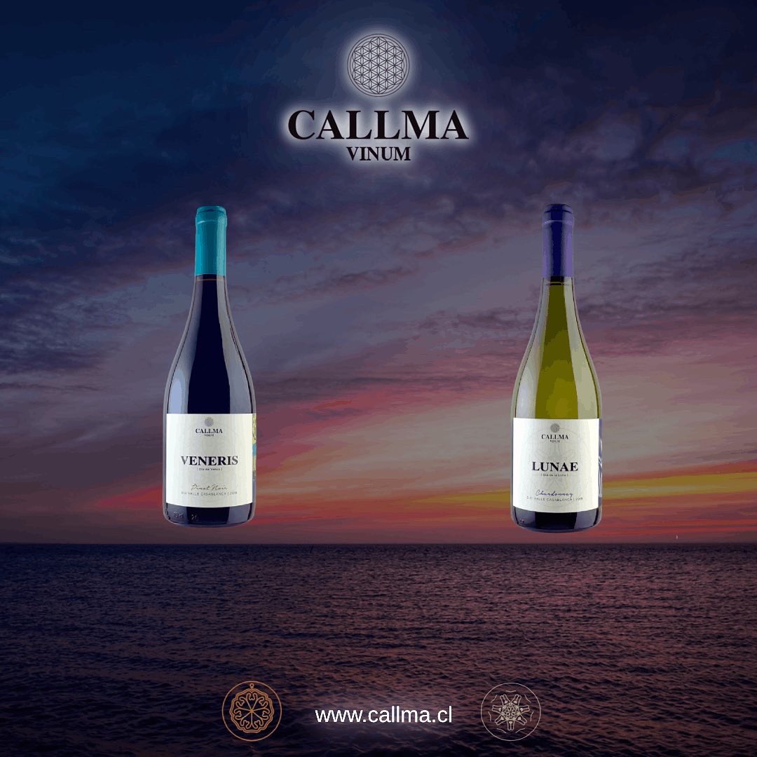 CallmaVinum's tweet photo. https://t.co/8VESDIfP7n #chileanwine #vinosconpersonalidad #viñaterosindependientes #vino #pequeñasproducciones #winelover #callmavinum #wineofchile #movichile_br #MOVILaTienda #lacavadelsommelier #bacovinobistro #movichile #restaurantedoncarlos #wine_promotion_ https://t.co/vEFwc5J90t
