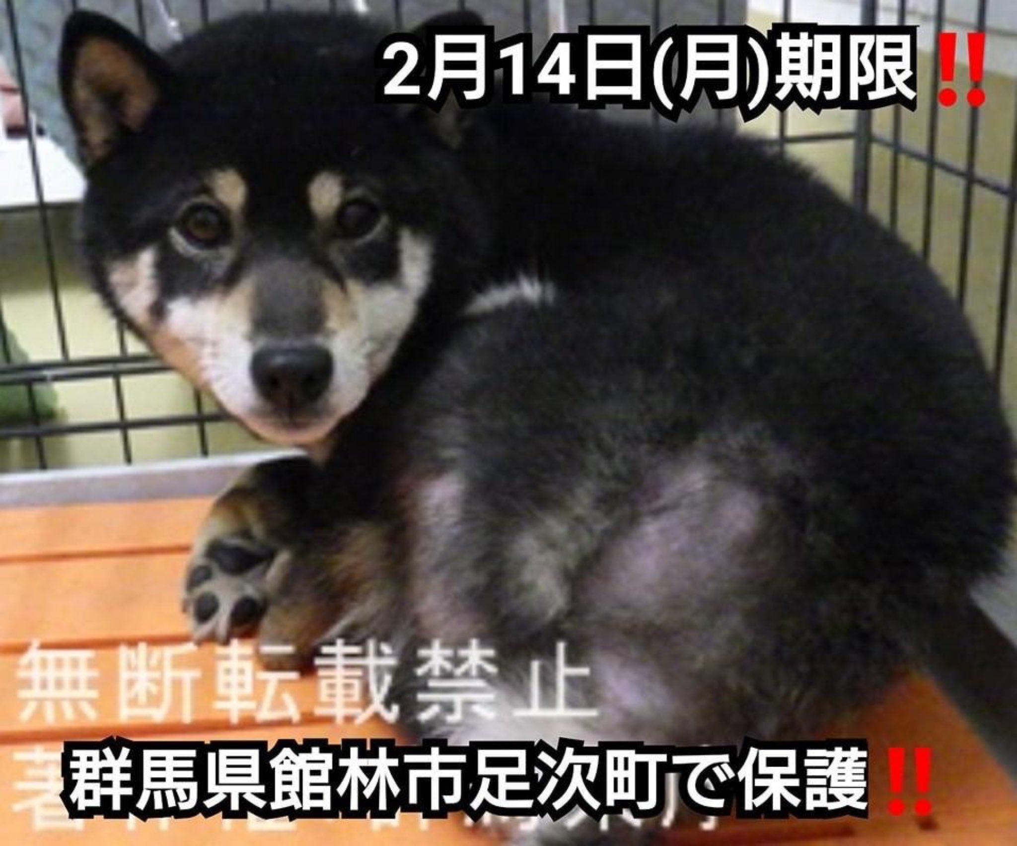 もちもちポテト 群馬 Mochimochignm Twitter