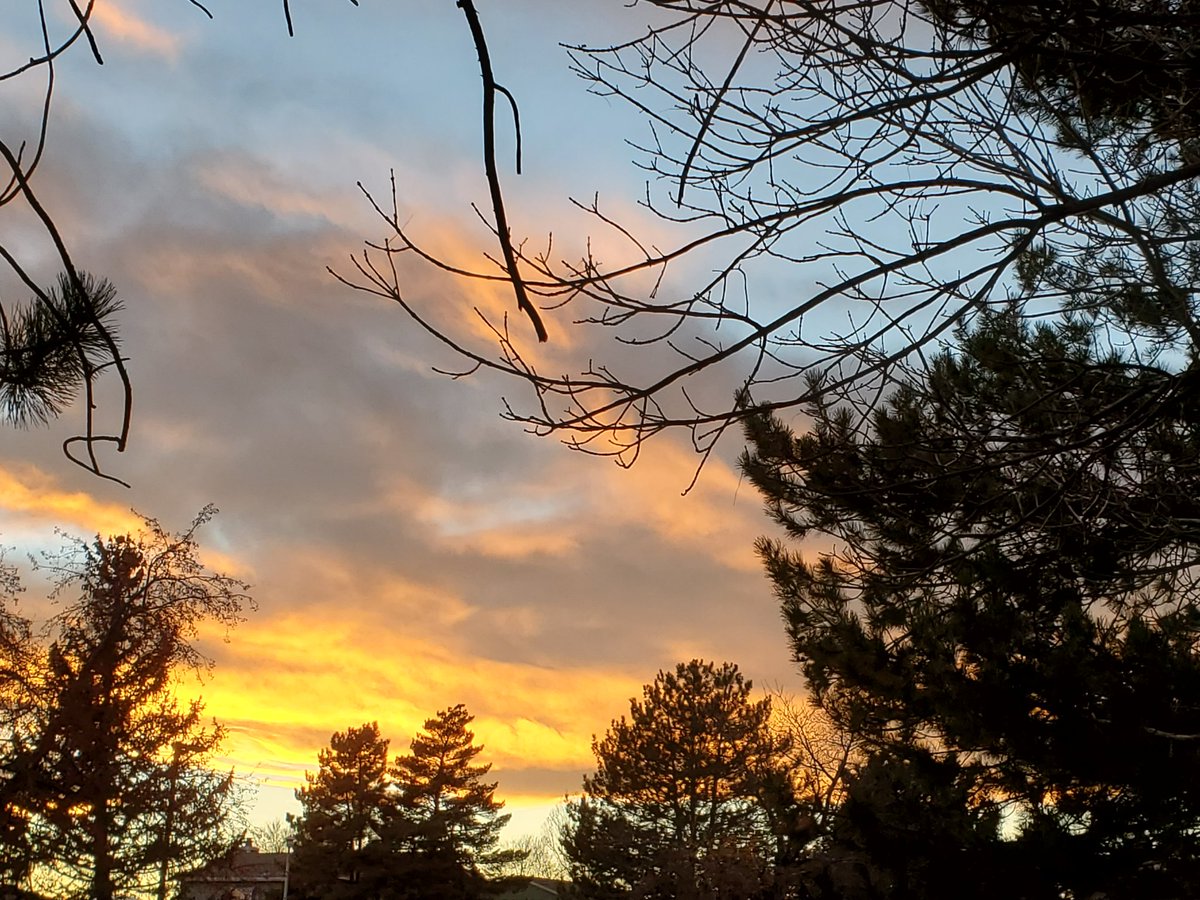 It's been ages since I've been on Twitter...