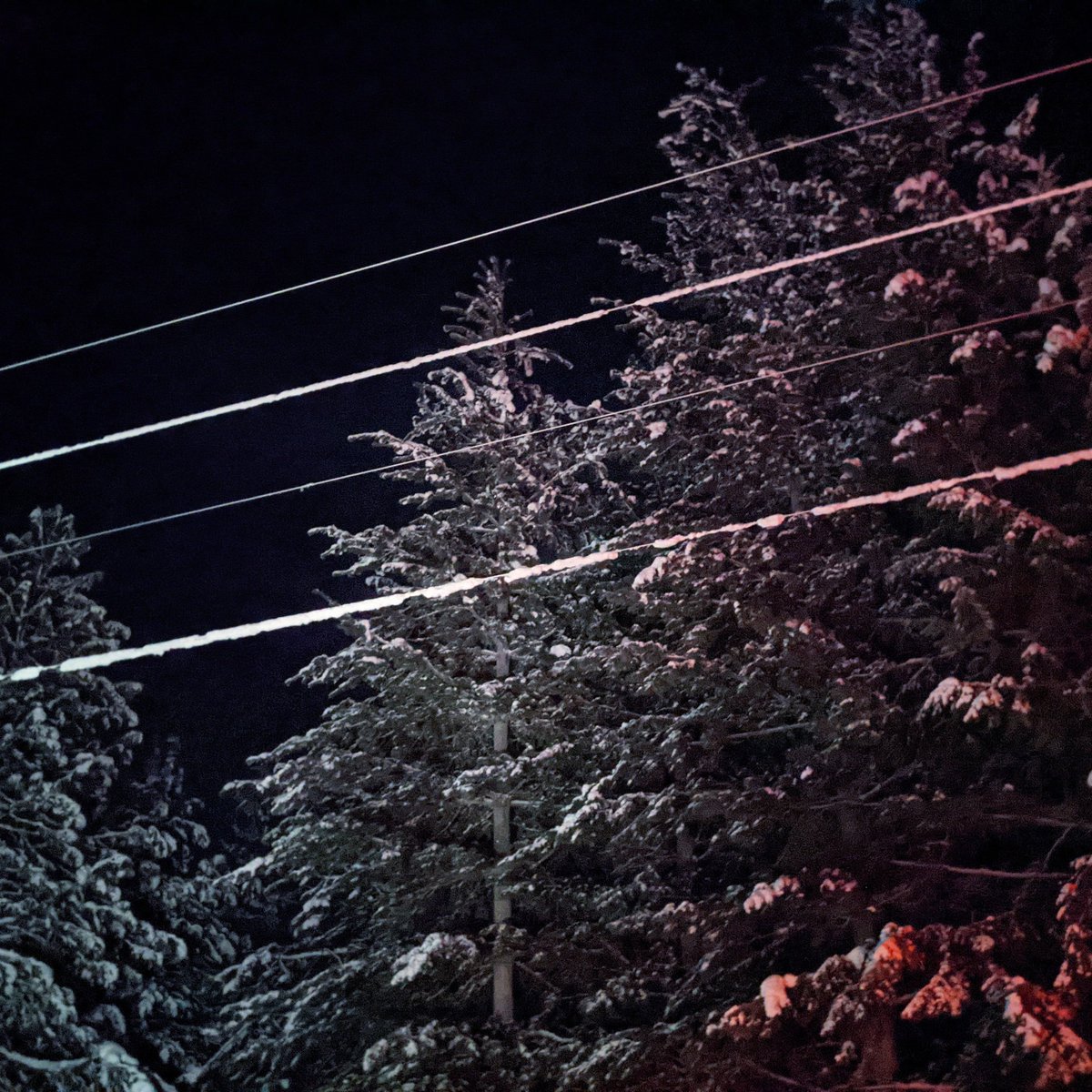 SolarRoadways's tweet photo. What problems are caused by snow/ice on wires? How can our Cable Corridor concept help?

https://t.co/cSTaSyZSXF

#SolarRoadways #SnowandIce #utilitylines #WinterSafety #ARealSolution 

Newsletter@SolarRoadways.com https://t.co/0iSLY7PCwe