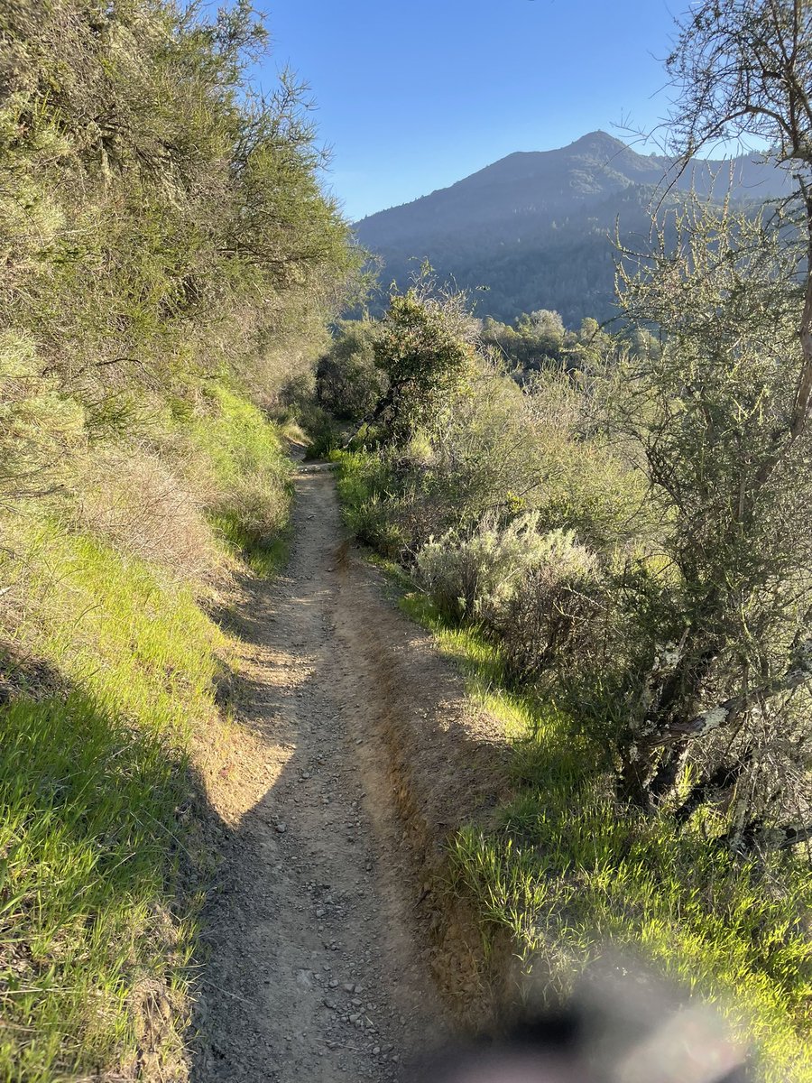 Wyeth Goodenough tweet media