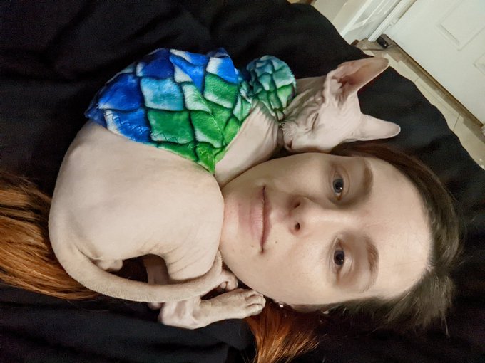 Guys.. it's Caturday and look at him. We're already in love. https://t.co/5OZnBRasjf