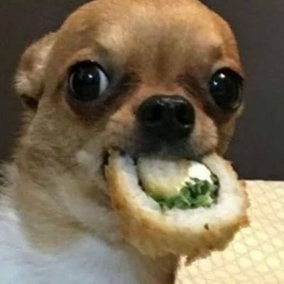 ‍ ‍ ‍ 𝐣𝐚𝐜𝐨𝐛. (@mcstermxnd) on Twitter photo 