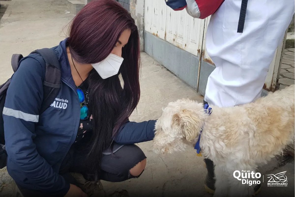 UBAQuito's tweet photo. 🐶🚨 Seguimos brindado ayuda a los animales de compañía con y sin tutor en #LaGasca y #LaComuna. Nuestro compromiso con el bienestar animal de las personas afectadas sigue firme. #JuntosPorQuito https://t.co/y8949qZPQ2