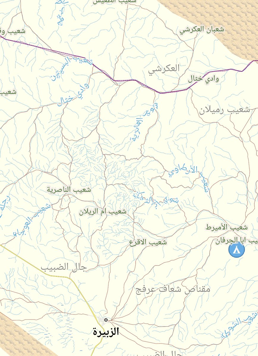 في محمية التيسية يوجد شعيب يسمى ام الريلان ، والريلان هي صغار النعام مما يدل على وجود النعام سابقا في التيسية. وبالامس اطلقنا عددا منها بهدف اعادة توطينها.