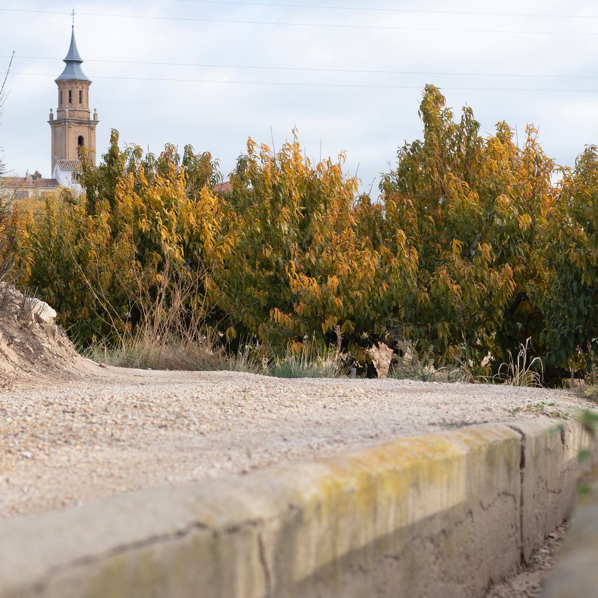 descubrir5's tweet photo. Paseando conversando y respirando

https://t.co/Nea1j4pHM6 

#estreno2022 
#calandamipueblo 
#bajoaragon  
#fotografia  #rurallife #rural_love #ruralphotography #pueblosconencanto #urbano #pueblomagico #vivirlavida #pasearnoshacefelices #caminar #camino #señales  #tranquilo https://t.co/5QWkRGWY4T