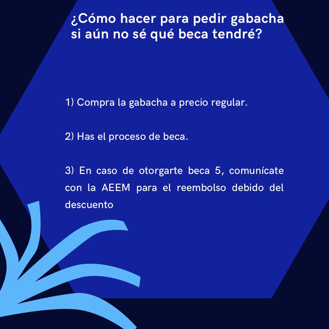 Pedidos de gabachas febrero 2022
