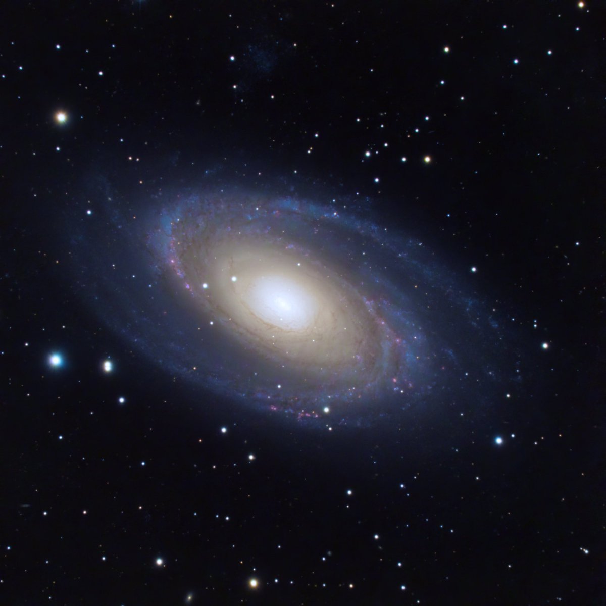 MathCancer's tweet photo. I was really inspired by @AstroFrontyard’s beautiful widefield work on M81 and M82 to go back and reprocess my closer-up #Messier81 (Bode’s Galaxy). #Astrophotography #astrohour
Much happier with the colors & balanced detail.
On @AstroBin_com: https://t.co/7eQt5g27nC https://t.co/CqOvpuaOEV