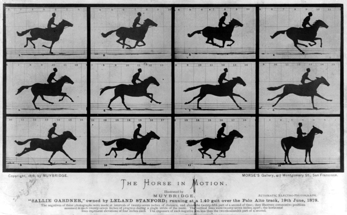 MassCommHist21's tweet photo. The discovery of horses in the air while running was monumental for more than just film technology--it changed the way we understand locomotion and physics. 

#MediaHistoryMatters
@KimMangun
See more of Eadweard's research film here: https://t.co/R9tr2Kvrsx https://t.co/HnRlyReqxz