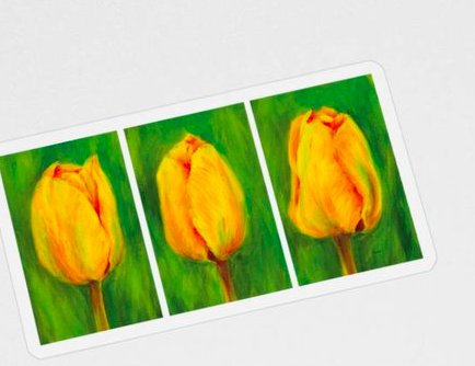 KarenKaspar1's tweet photo. Can you imagine a spring garden without beautiful colorful tulip flowers? They delight our heart and soul with their beauty and blossom in bright vibrant shades of all colours. Yellow tulips triptych. https://t.co/qJtm1MS8xT #SpringForArt #SpringGiftsDay #garden #flowers #spring https://t.co/ZvO01fNv7Q