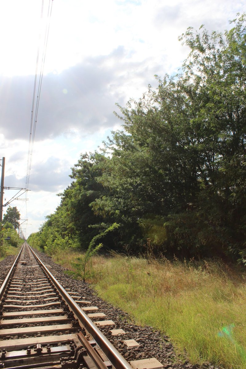 "Ve kim bilir kaç zamandan beridir kalbimi öğütlüyorum.
Durup durup ıssız yerlerde
“güçlü ol ey kalbim, güçlü ol
daha çok işimiz var” diyorum."