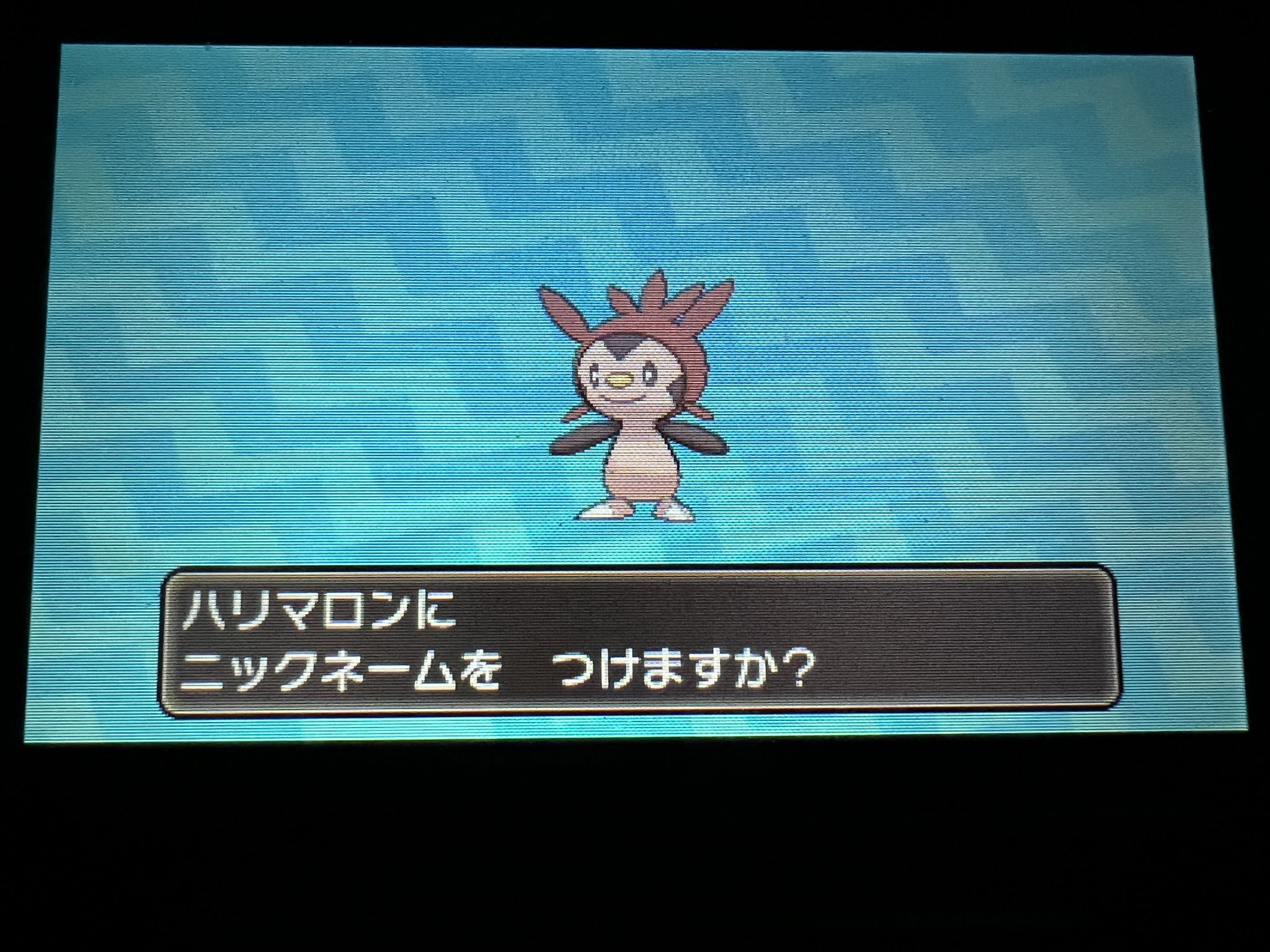 ゆぎ 相互 ポケモンusumで国際孵化成功 ハリマロンの色違いです 今回は早かったー T Co 2wftepawlx Twitter