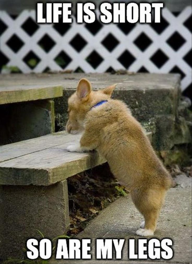 Club Brigette tweet media