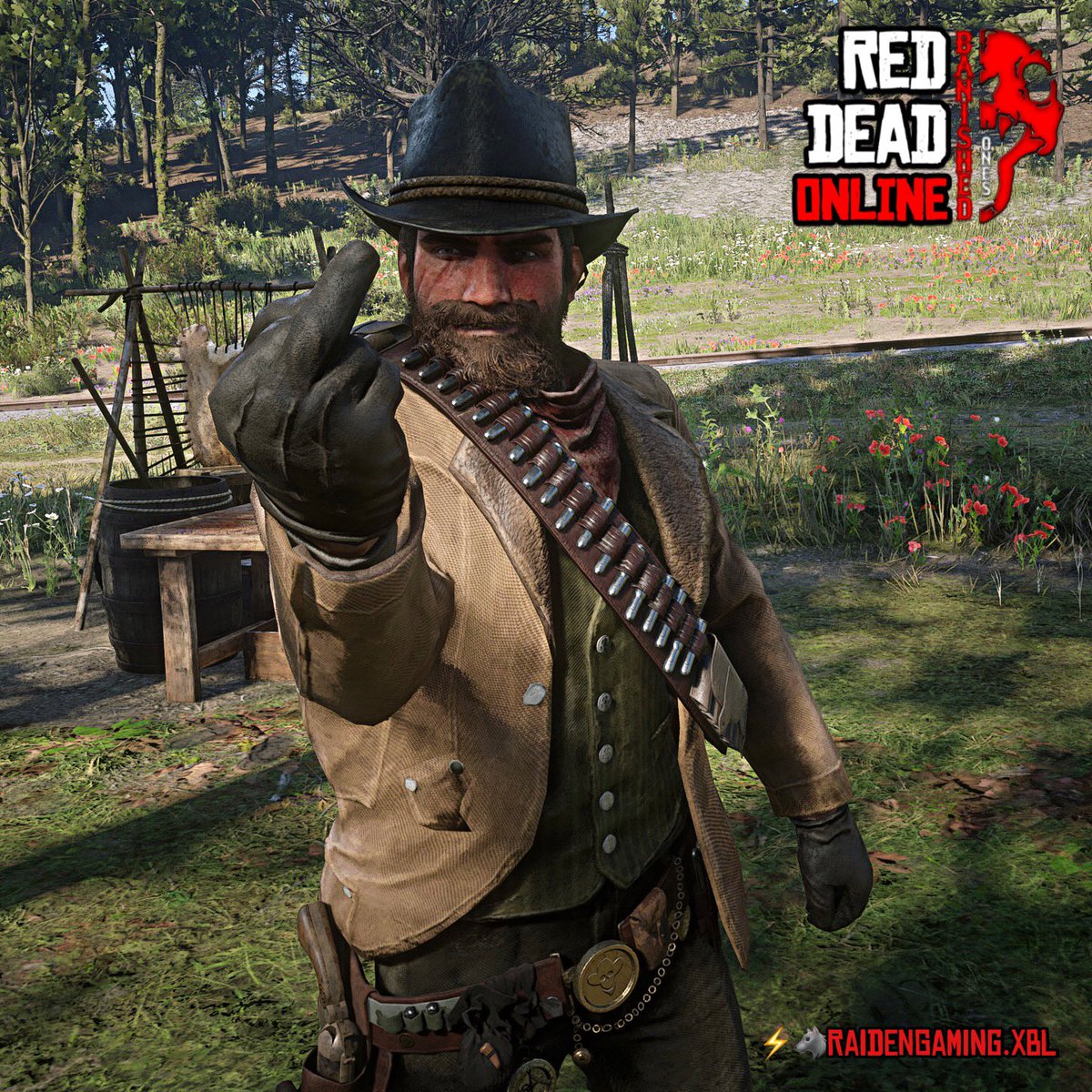 RaidenGAMINGXBL's tweet photo. On behalf of the rest of Red Dead Online community, you have forced my hand OR should I say my finger @RockstarGames on leaving us in the dark by giving us nothing while constantly promoting an almost 9 year old game. #shameonyou #SaveRedDeadOnline #BoycottRockstarGames #Rant #RT https://t.co/6gekH6uLq2