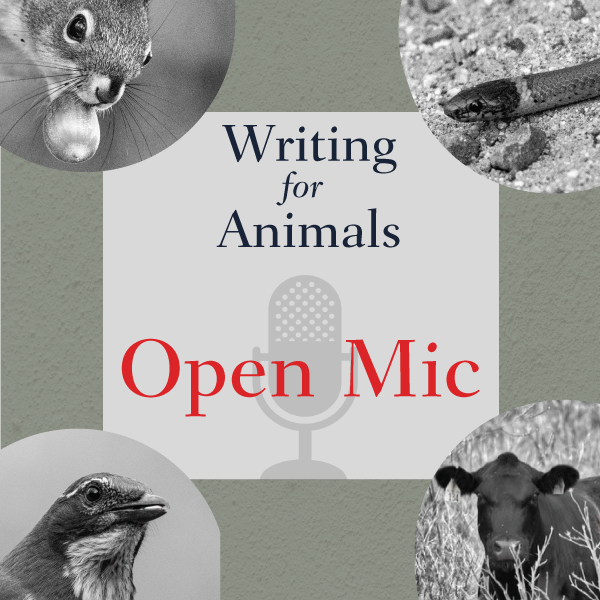 EcoLitBooks's tweet photo. EcoLit Books: The latest writing opportunities and book reviews - https://t.co/zRfxp8MG3v https://t.co/m2n7y8WIPK
