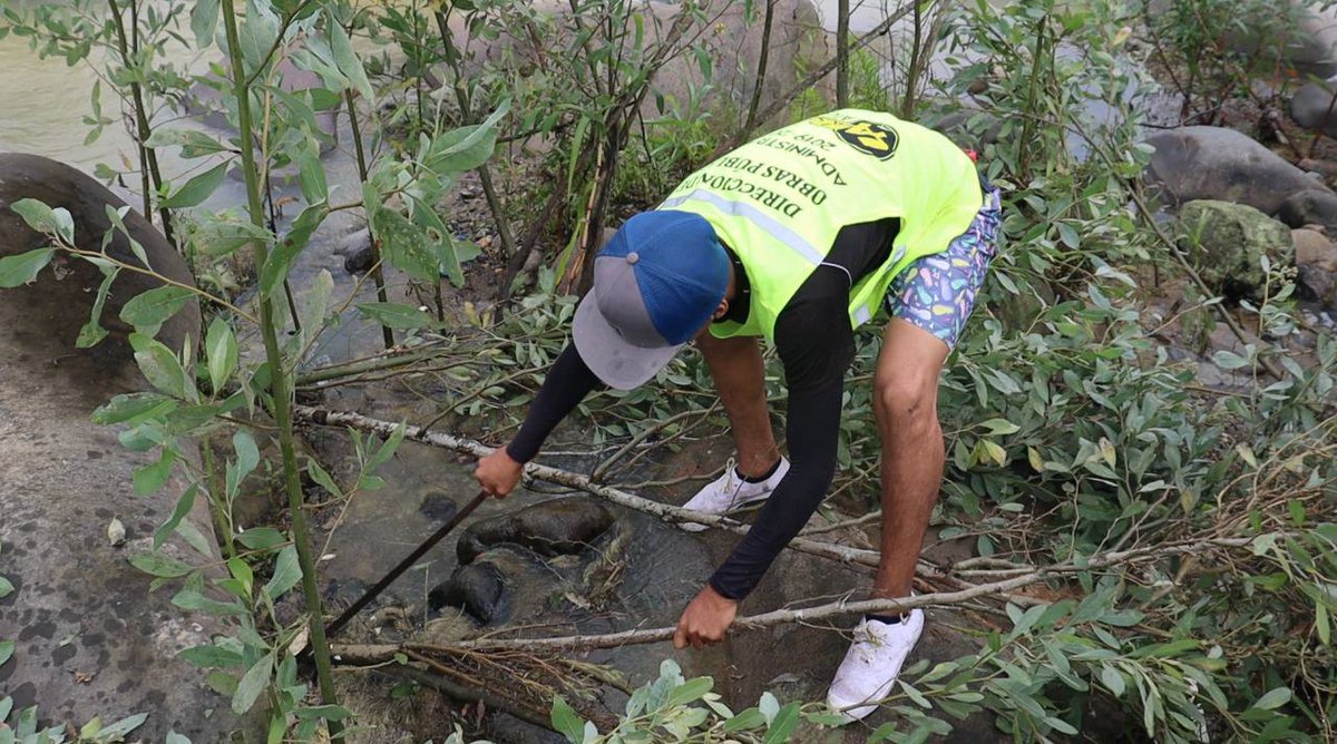 Larry_vite's tweet photo. #LAminga
#Bellamaria
Con personal del Gad Municipal, cuerpo de Bomberos y Personal de la Infantería Imbabura 2 se llevó a cabo la minga de limpieza y adecentamiento en el río Bellamaria perteneciente al sitio Piedra Redonda con el objetivo de rescatar los petroglifos que https://t.co/nVJzoj7KcT